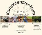 1 x 1 der Pferdezucht Zuchtkurs Pferdezucht Fohlen Zuchtstute - Online Kurs